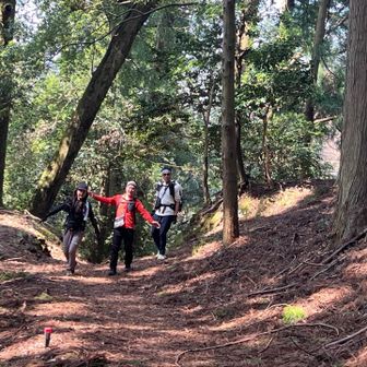 お疲れ様でした〜😆
次〜
ミツマタ🌼*･見に行こ〜👯✨
