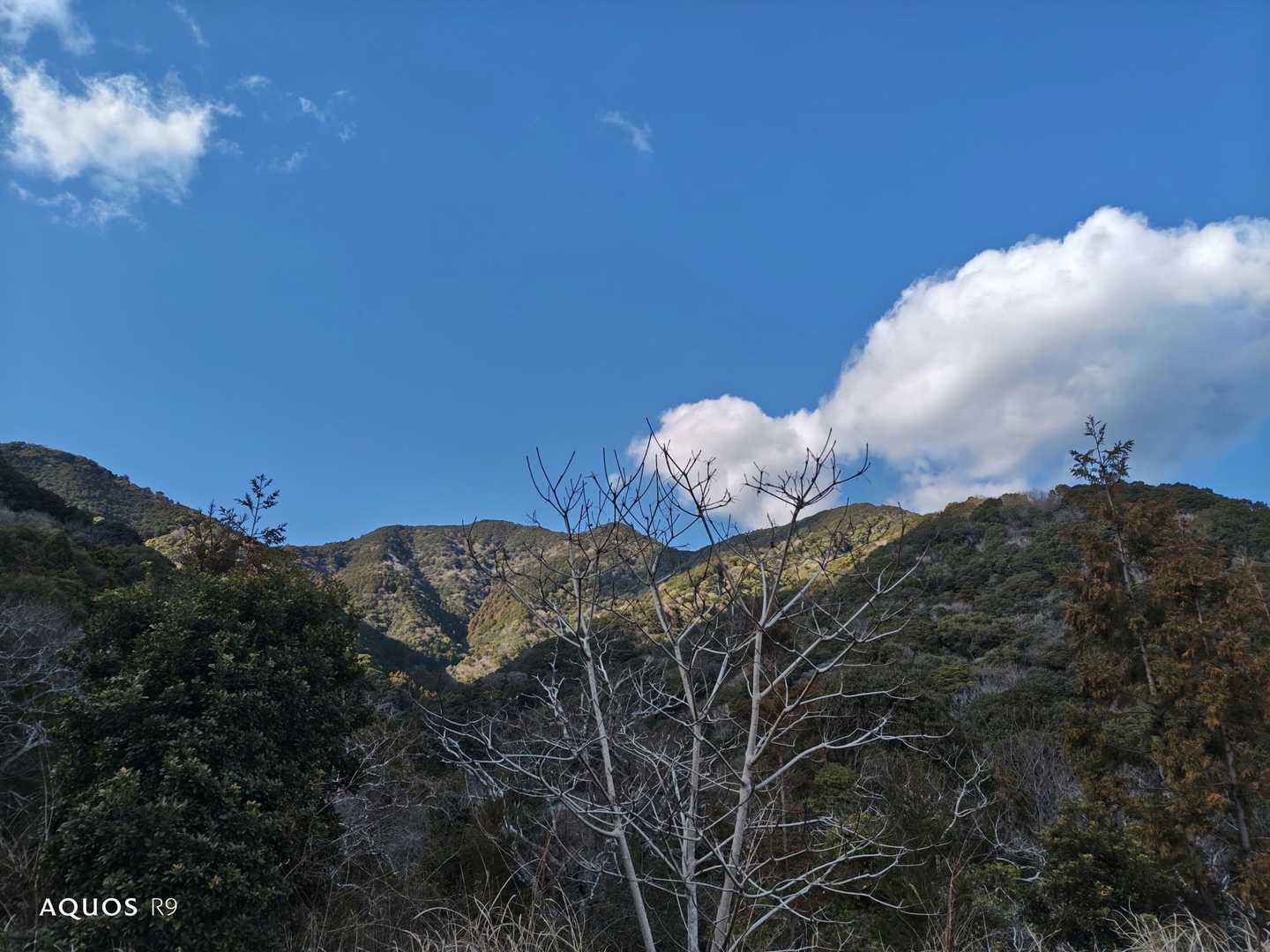 高山登山口-高山 往復コースの写真