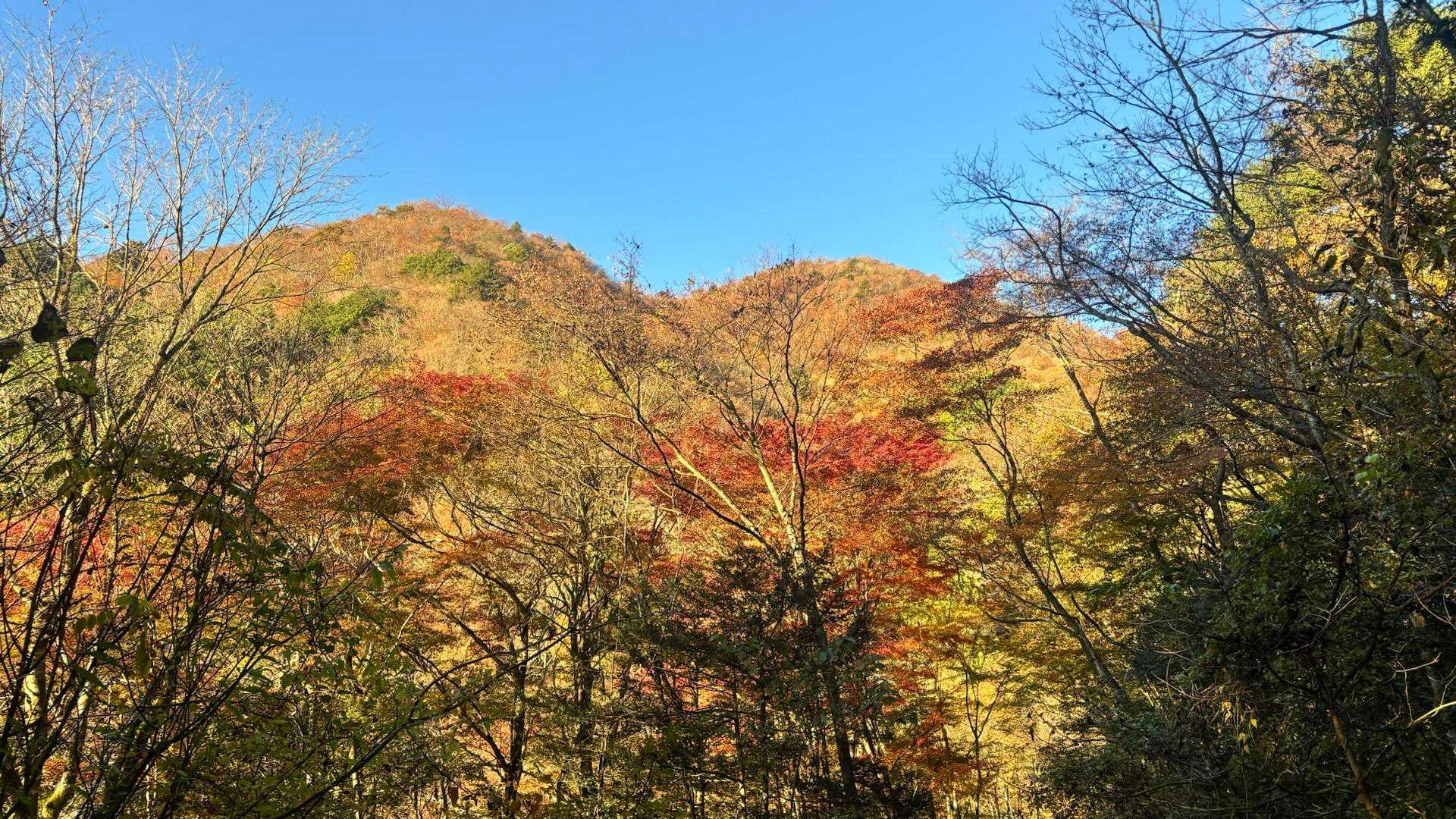 麓登山口-毛無山-毛無山-タカデッキ-雨ヶ岳-端足峠-東海 周回コースの写真