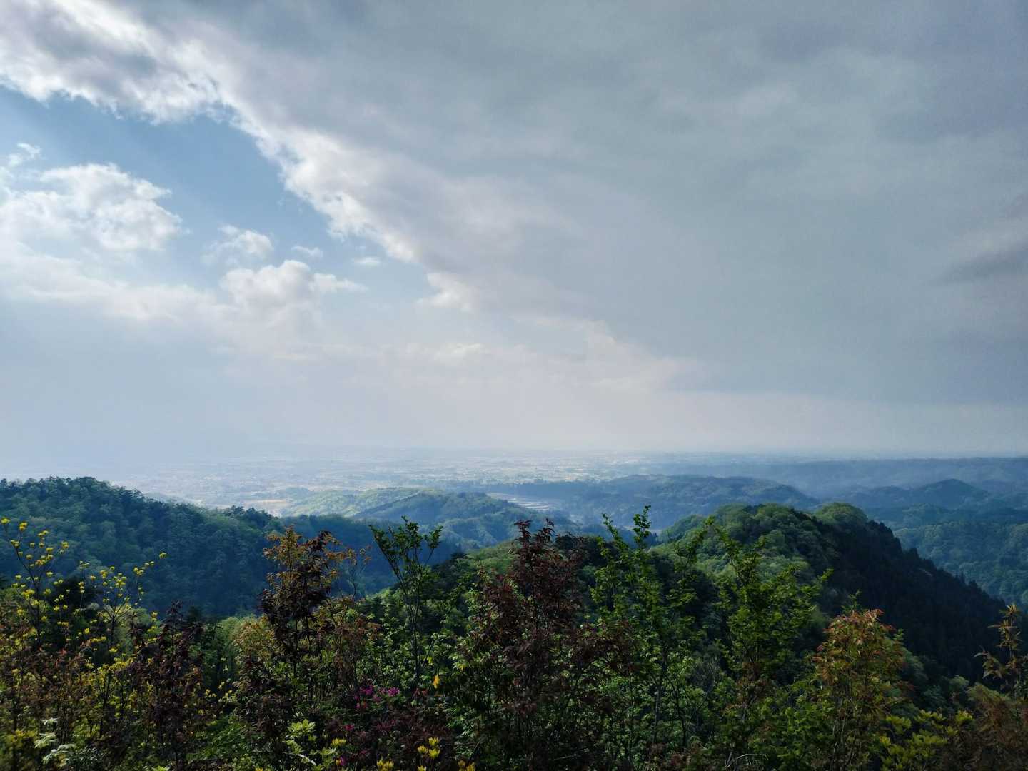 ハゲ山登山口-ハゲ山 往復コースの写真
