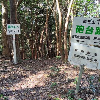 分岐まで、戻ってきました。　
龍王山⛰️山頂に向かいます。