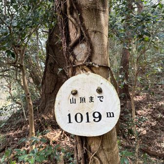 地元の方々が整備されているおかげで、とても歩きやすいコースです。