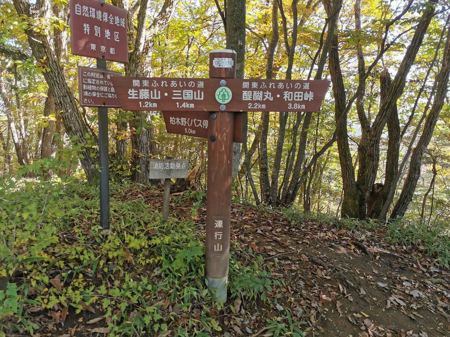 連行峰（連行山）の写真