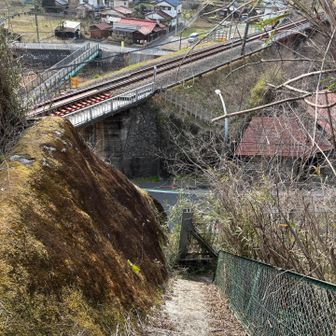 やっと西武秩父鉄道🚃の線路が見えたぁ😫
