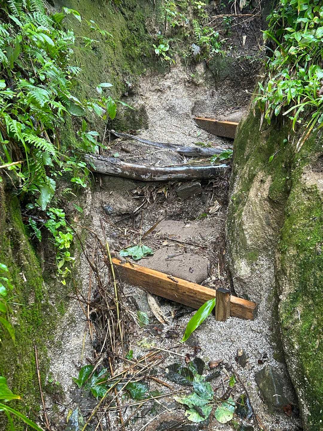 古寺山-古寺鉱泉登山口 縦走コースの写真