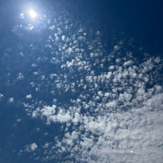 空気がカラッとしていて、風が心地よい🩵