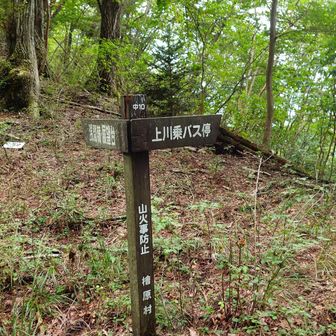 鞍部到着。
予定は上川乗バス停下山だけど少し余裕あるので周辺探索