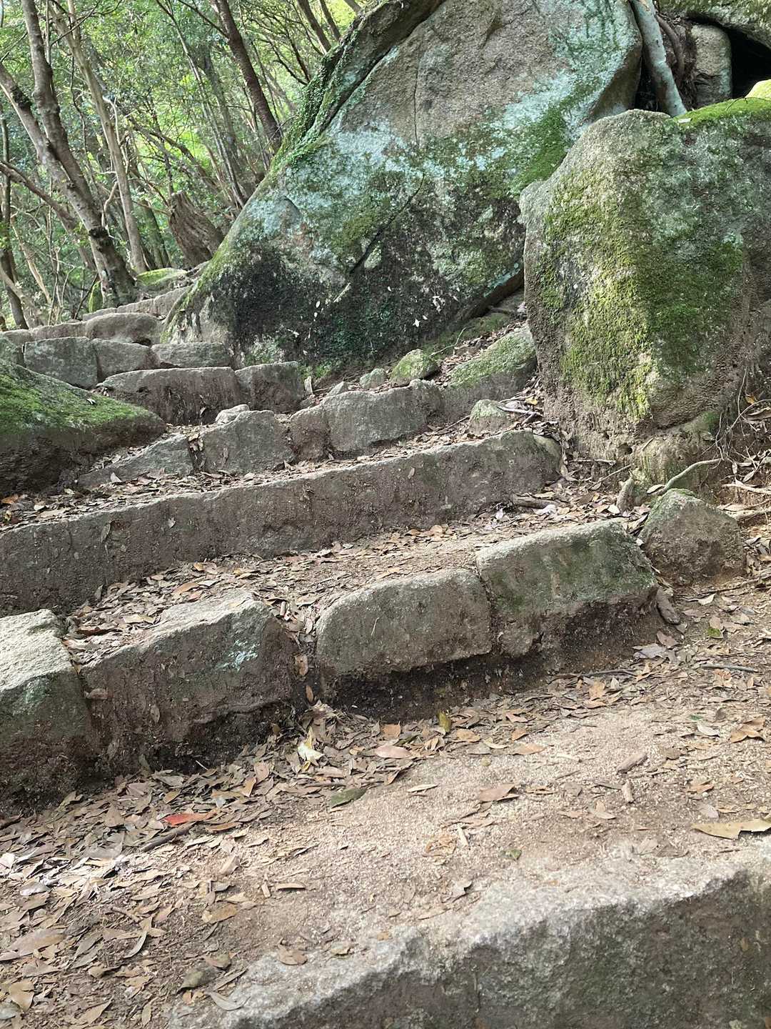 高尾山は木製階段
弥山は石段、
あっ、こないだ高屋神社まで階段だったなぁ

決して階段マニアではないのです