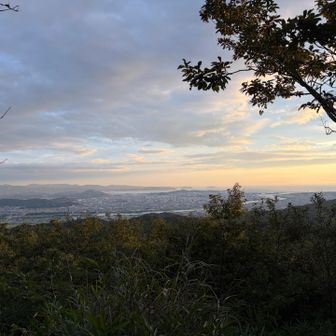 紀ノ川の河口まで見えます