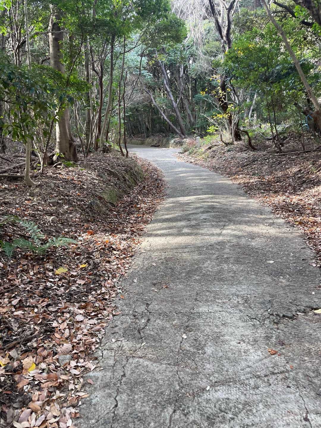 最初は、舗装路です