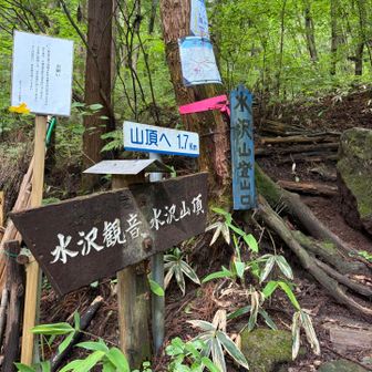 10時半までに下山を目標