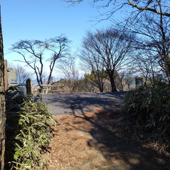 無事到着しました