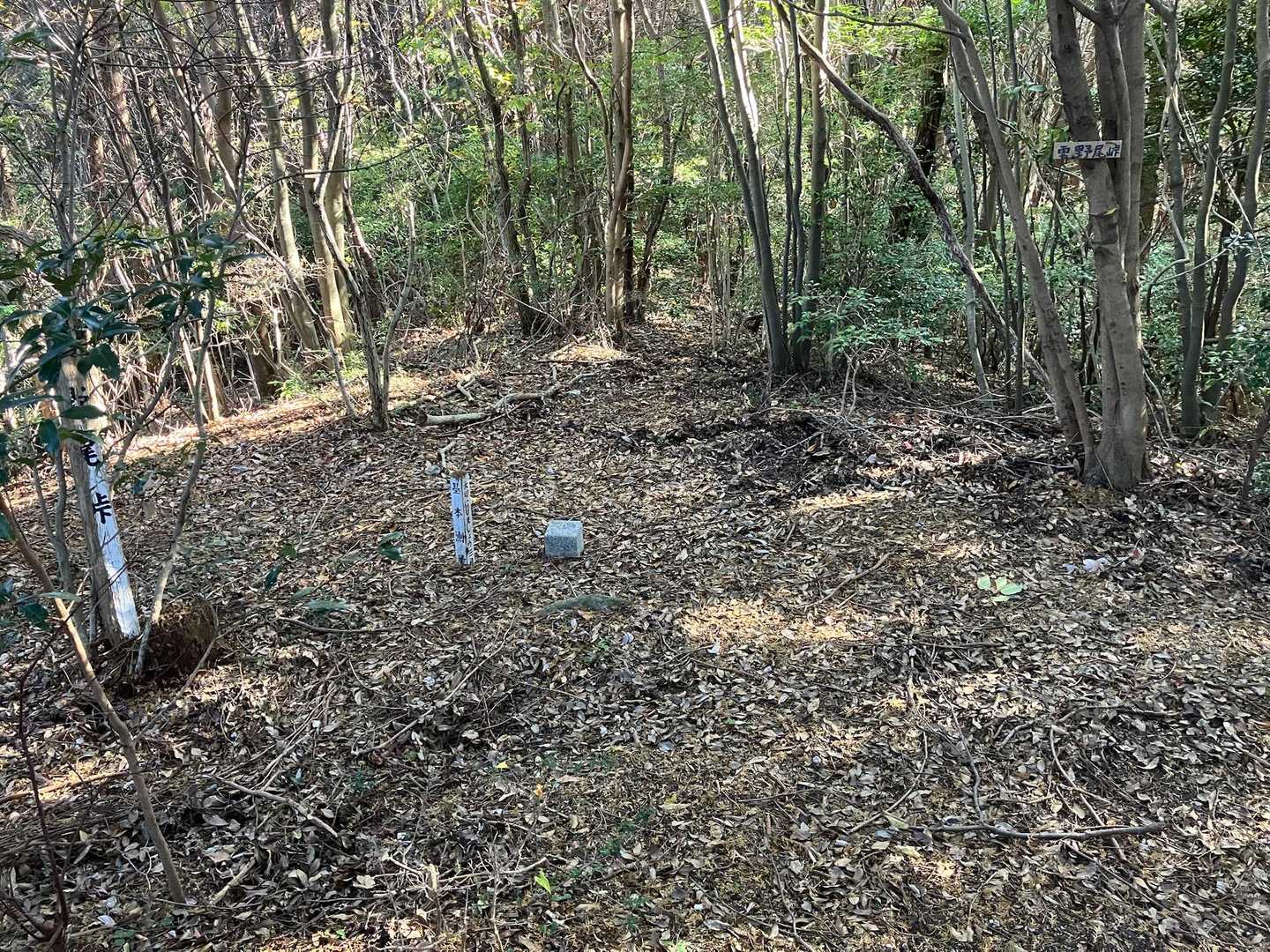 山頂です。広いです。眺望無しです。