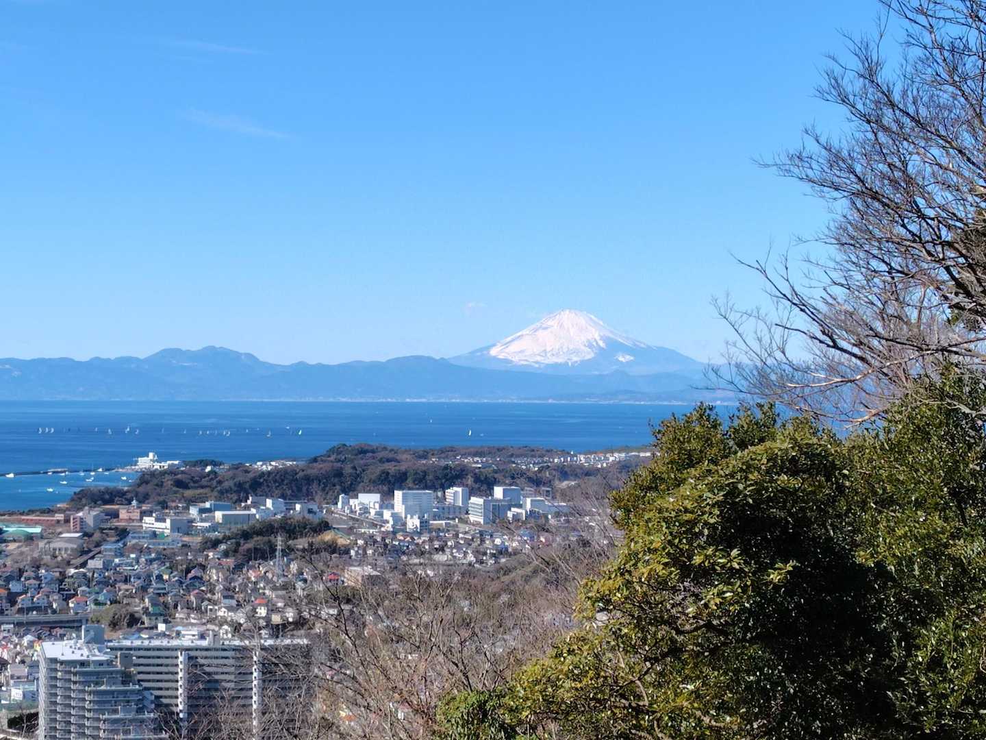 武山からちょっと下ったところに富士山のビュースポットがあります。