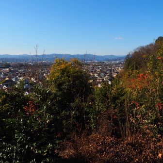 神社の上から眺め良し