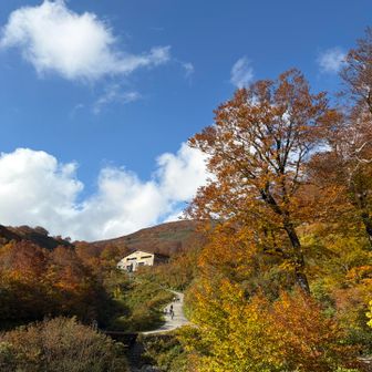 リフト乗り場が見えました。
降りてきたー。

月山、歩くルートがすごく遠くまでずーっと見えててすごく大きな山なんだって感じた。
どんな山も大きいんだけどあんなに遠くまでずーっと見えてるのってすごいなぁって。
上手く言葉にできないなぁ。