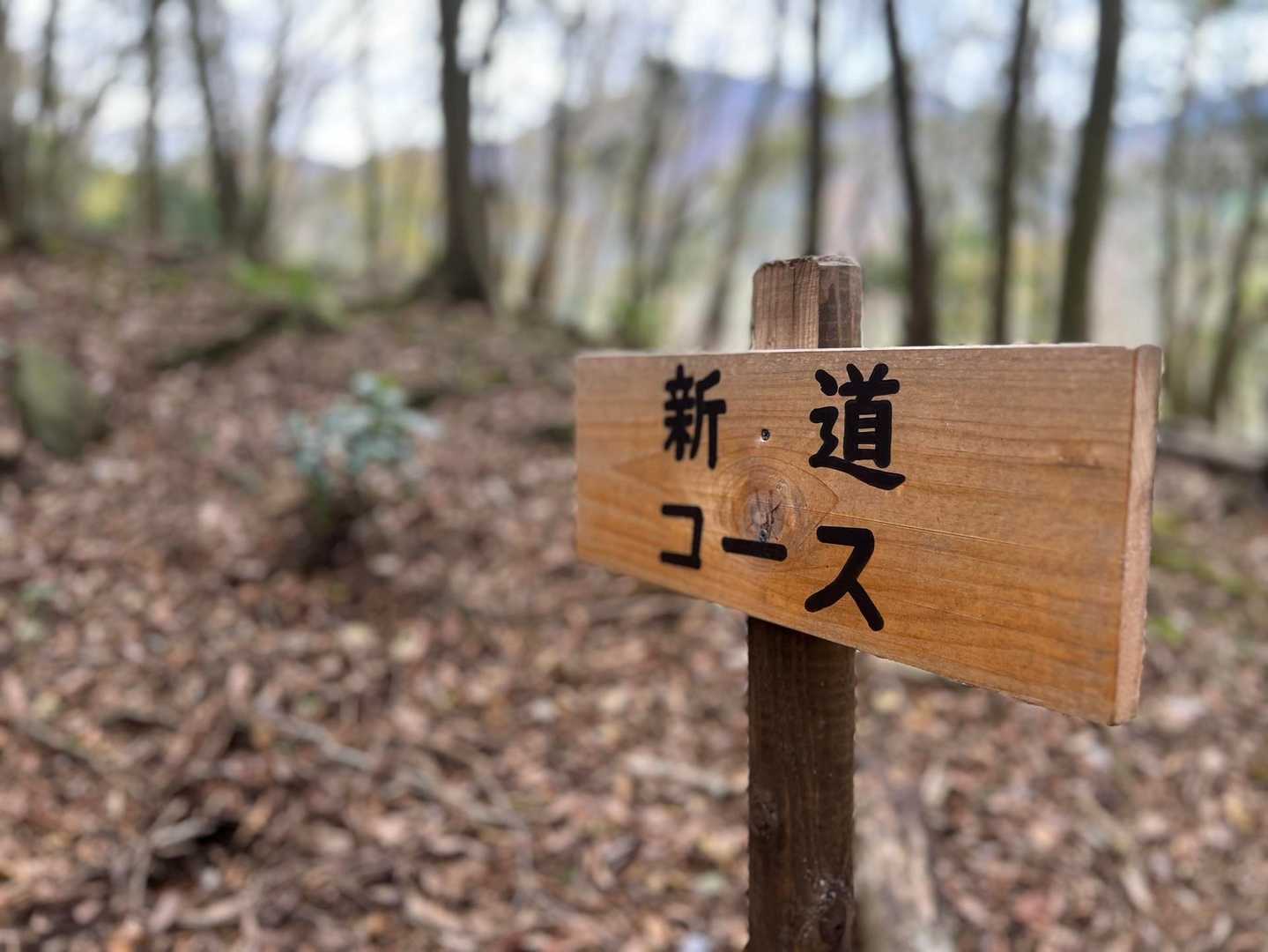 入道ヶ岳 宮妻新道コースの写真