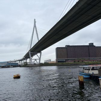 この橋には歩道がありません。