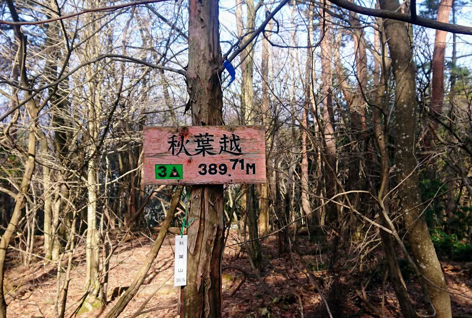 秋葉越⛰️
全く眺望がありません😆