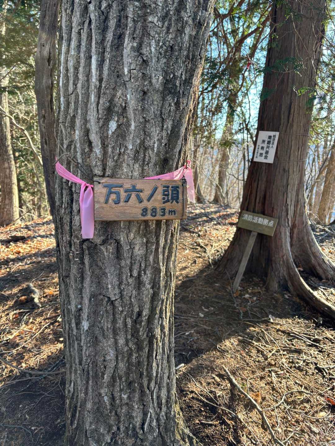 ここからの下山は私にはまだまだ大変でした😨