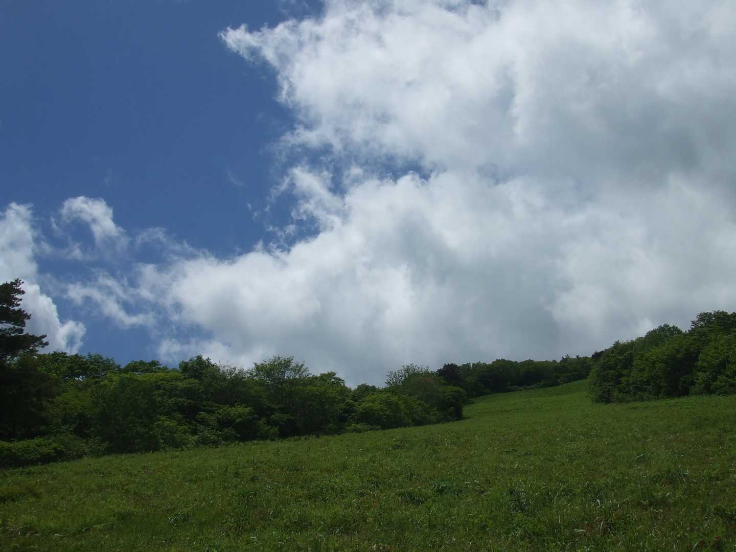 スキー場の景色。青空が素敵でした＾＾