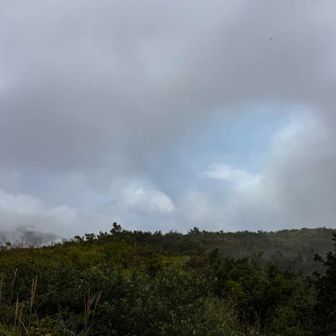 ちらっと青空に歓喜したり