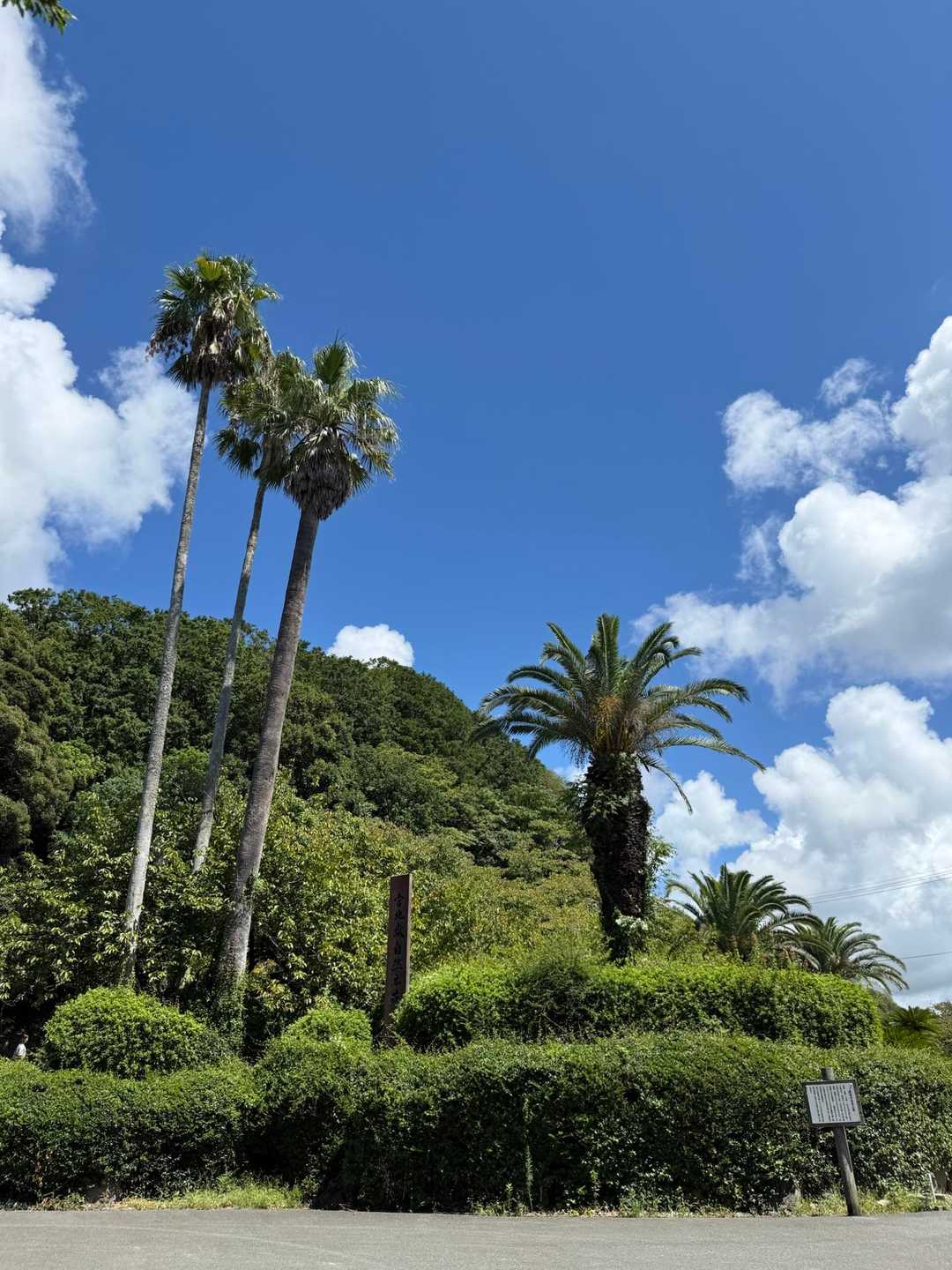 宮地山-在自山 往復コースの写真