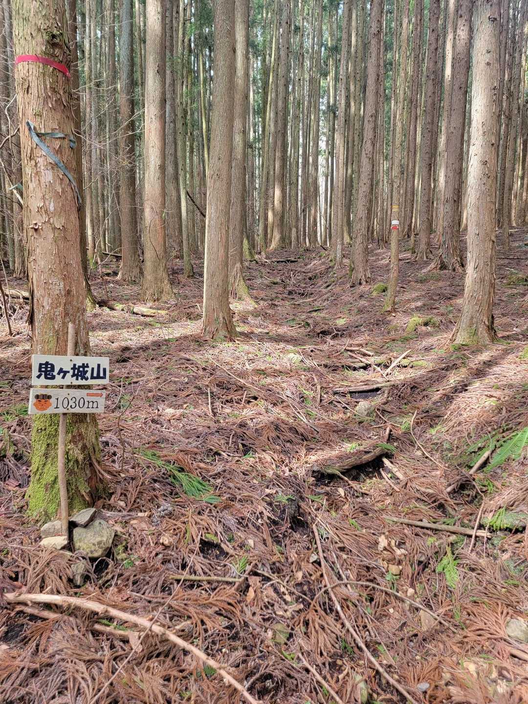 鬼ヶ城山 周回コースの写真