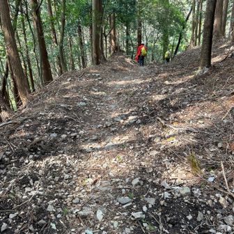 🚶‍♂️🚶‍♂️