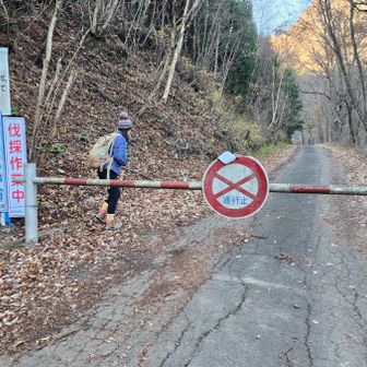 ゲートを抜け。。。