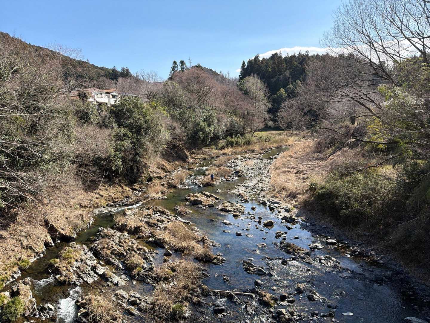 秋川〜✨