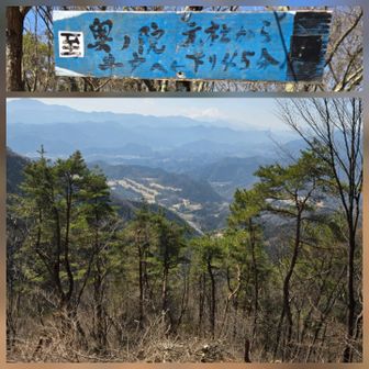 実は ここから往路で断念した短縮ルート｢男坂｣が繋がっている→行くか？→｢いやいや…怖いっしょっ！｣→って訳で…