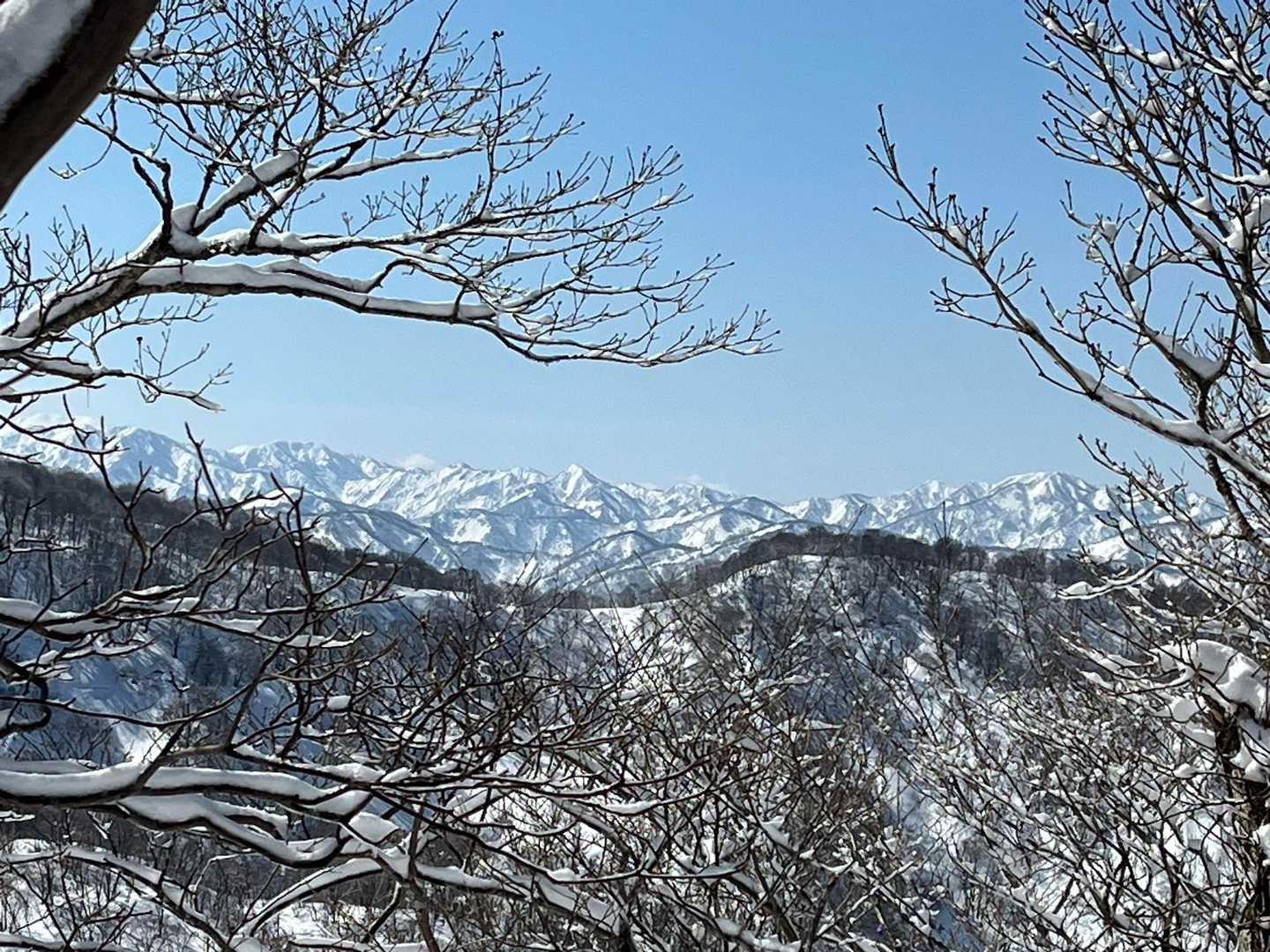 見上峠-前山-白兀山-蛇尾山-夕霧峠-奥医王山-小原登山口 周回コースの写真