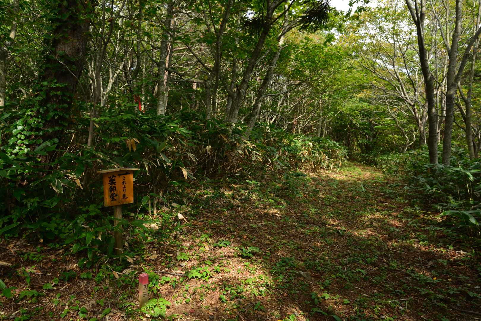 なお本峰の登山道のサブコースには、先程の『貴宝山神社』奥宮のほか、薬師堂へ続くものも存在する。こちらは距離も短く高低差も少ないようなので、帰りに寄り道していくこととした。写真左側の看板を目印に、脇道へ入る。