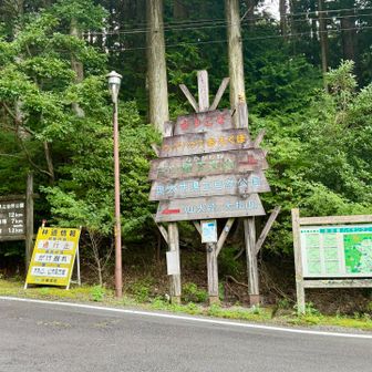 山犬段まで12km、と
