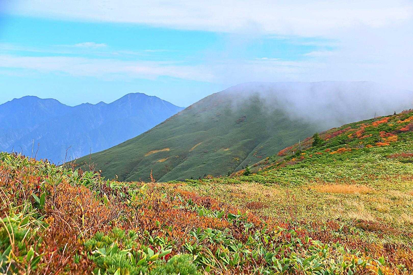 井戸尾根コース | 「ニセ巻機山」を越え、池塘と草原広がる織姫伝説の山頂への写真