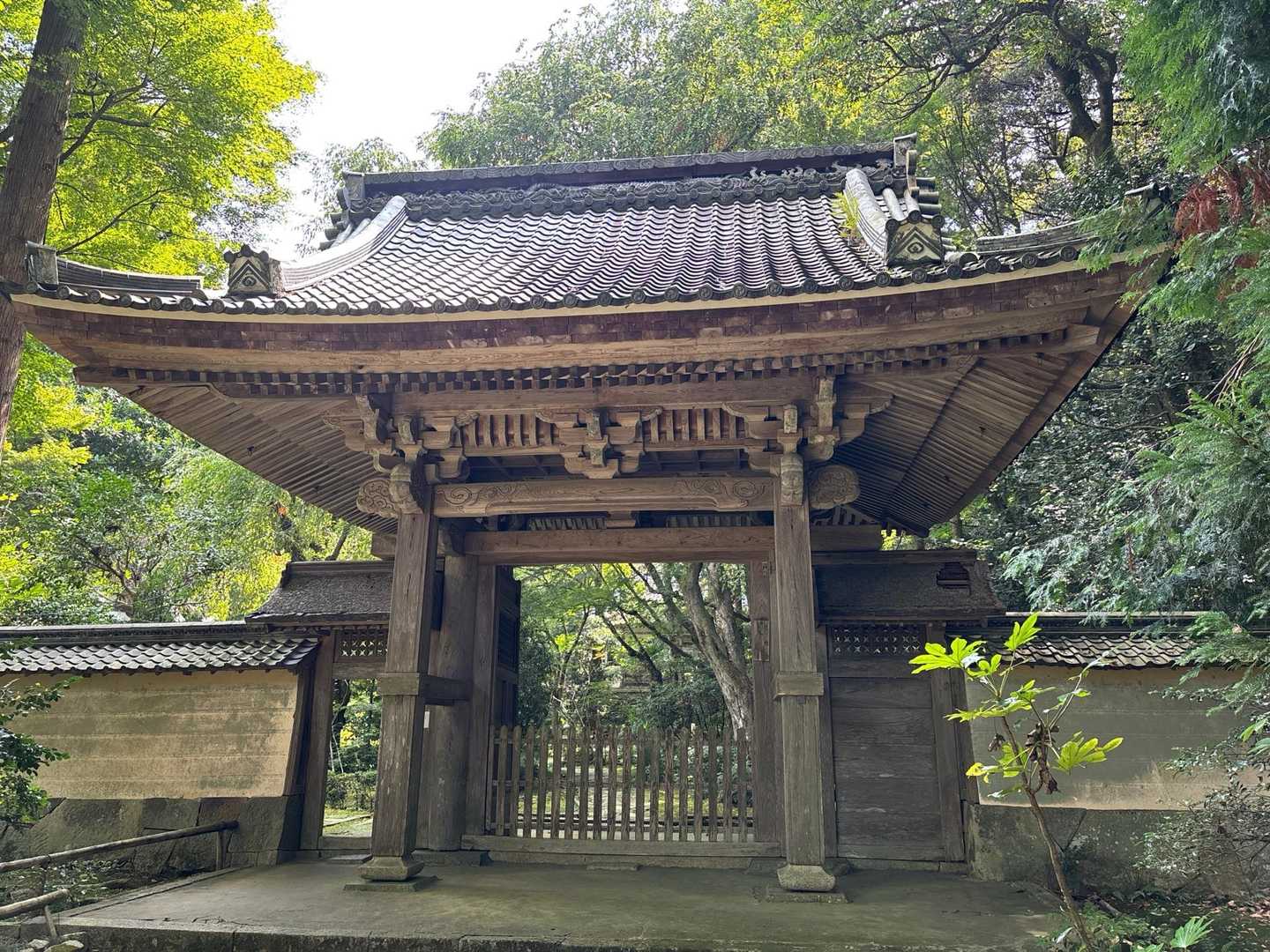 佐和山-弁天山-物生山 周回コースの写真