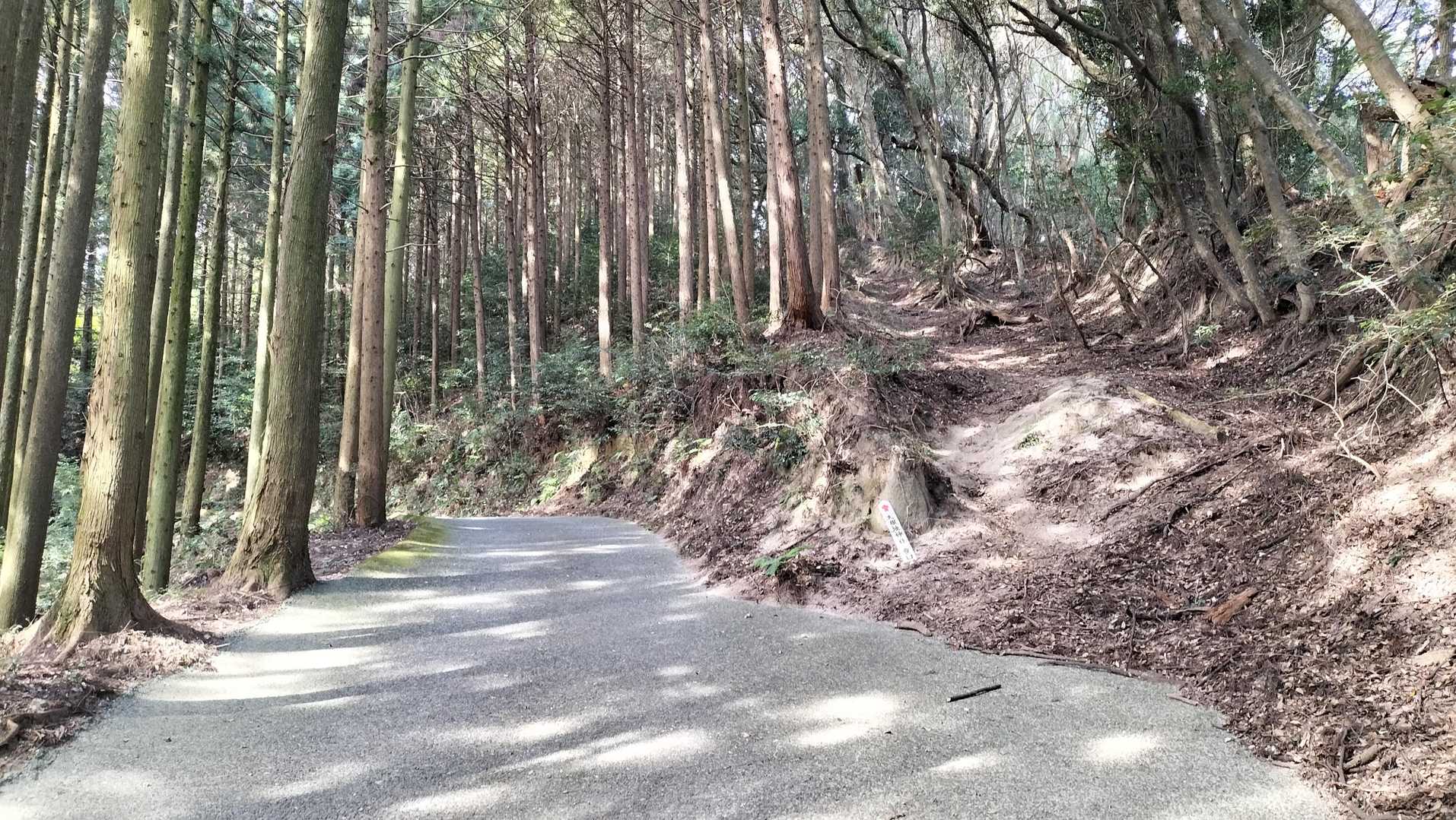 コンクリート道に飽きたので、右に行って少しショートカット