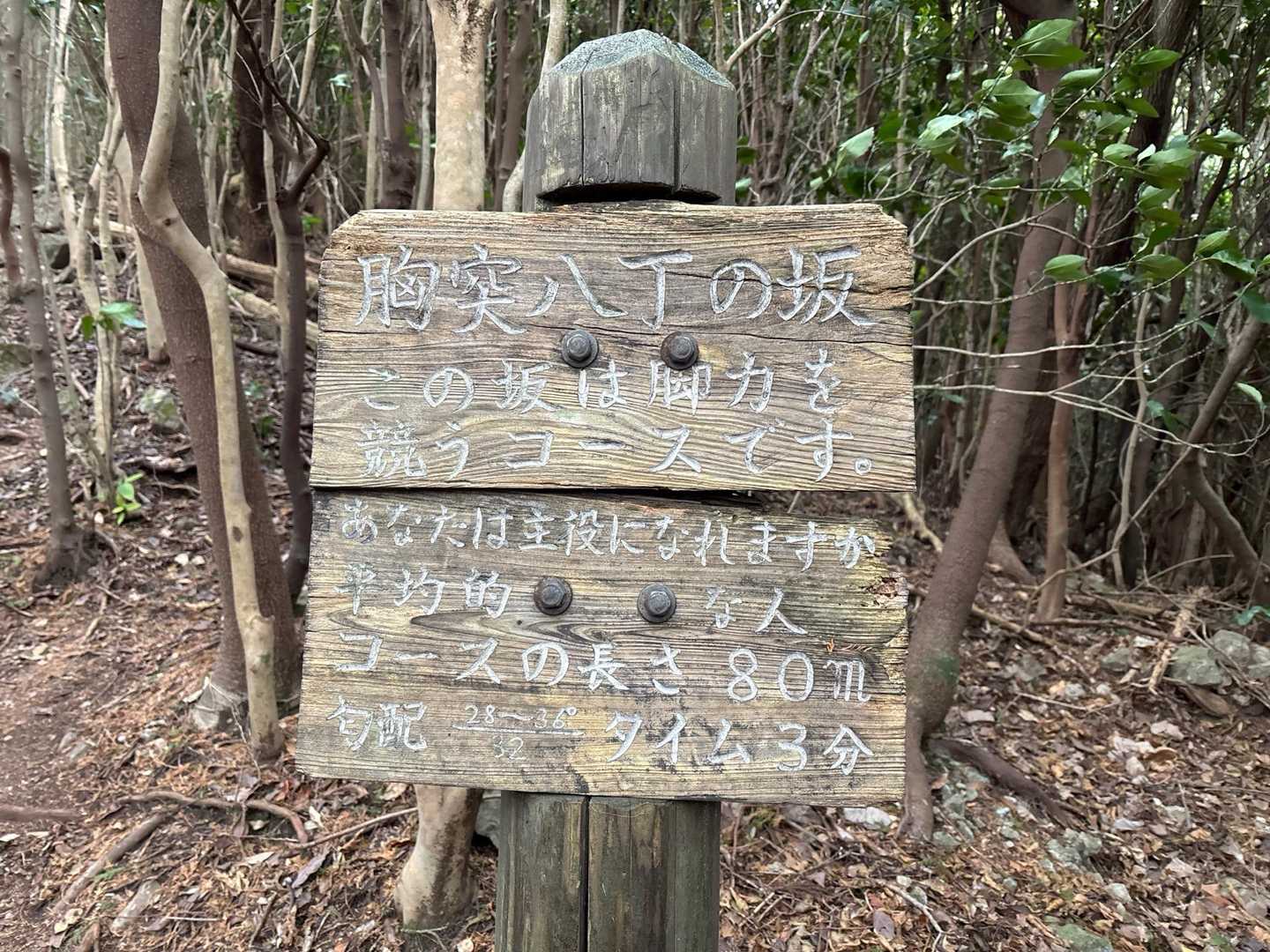 熊ノ岳 往復コースの写真