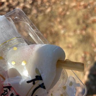 山梨銘菓？
シャトレーゼで購入
爪楊枝かと思ったらゴボウの甘煮でした
美味しい〜