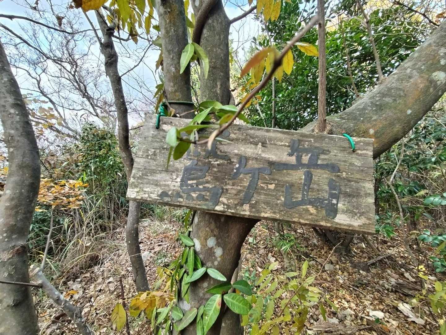 成竹山登山口-成竹山-大丸山-鷲ヶ岳 周回コースの写真