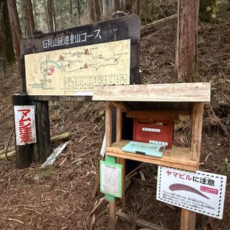 あーー
ココもヤマビルいます😅