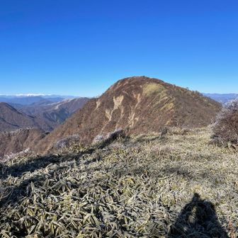 蛭の霧氷は消えた⁉︎