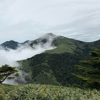 雲が動いた！