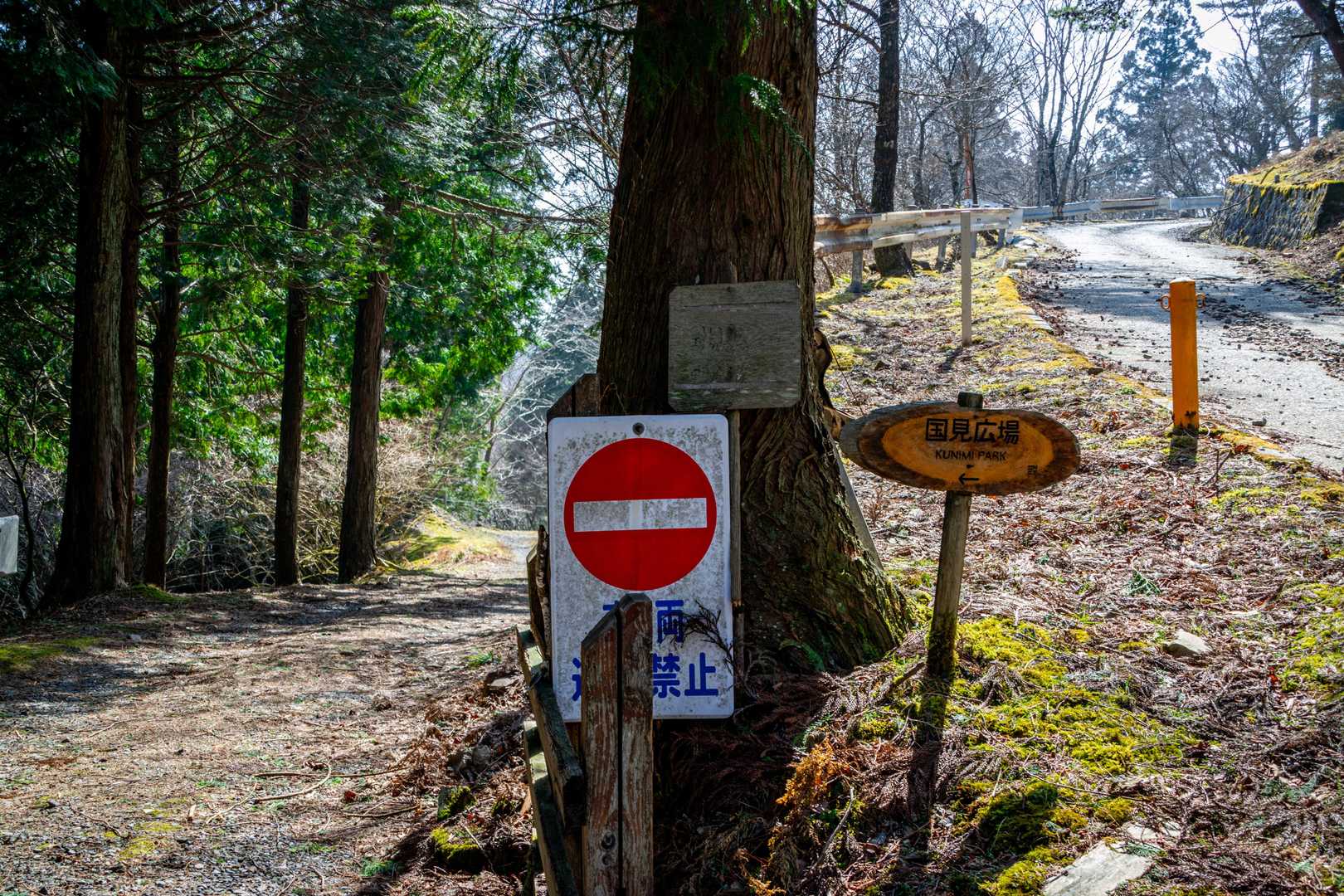 坂本棚田バス停-野登山 往復コースの写真