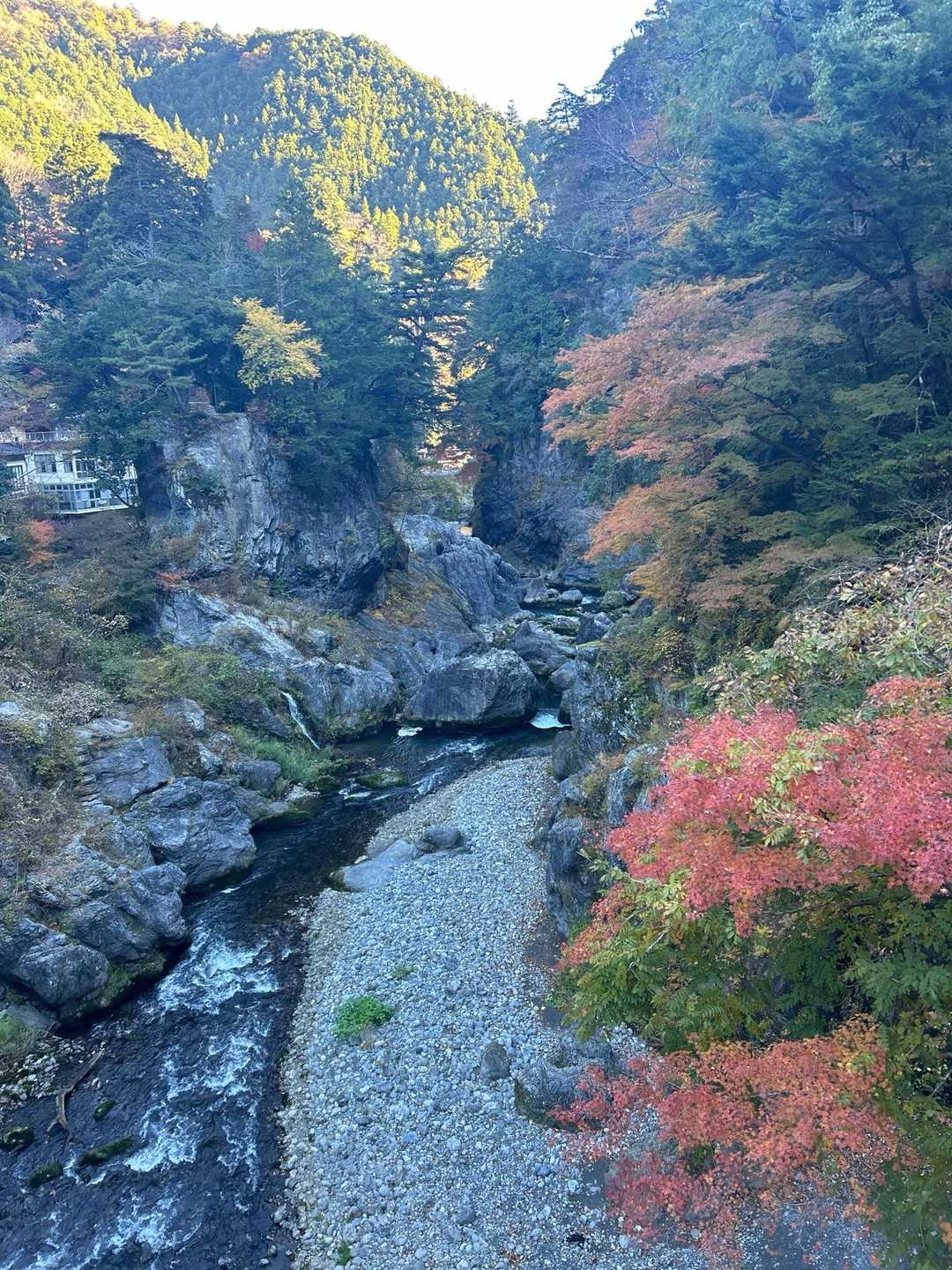 鳩ノ巣駅-大根ノ山ノ神-瘤高山-本仁田山 周回コースの写真