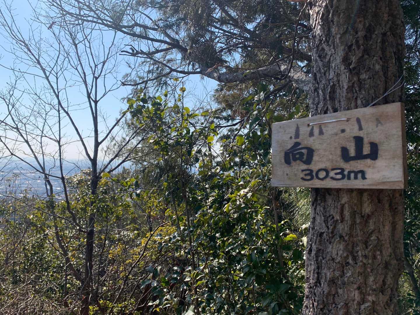 15分ほどで向山到着ー👍
ついに各アルコンプリートで感動！😭💦