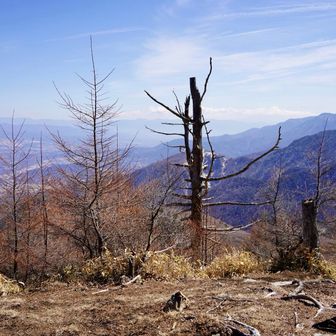 山頂はこんな感じ！