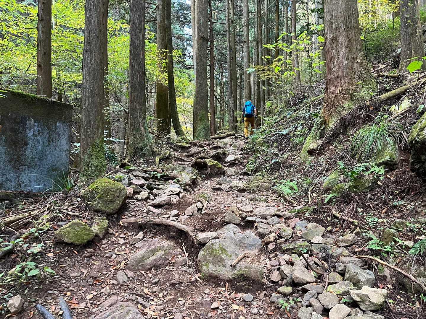いよいよ、始まります🏔🚶‍♀️
登りやすいけど、なかなか急です😌