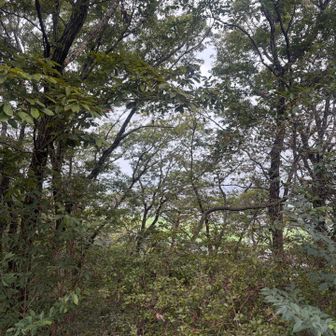 眺望なし